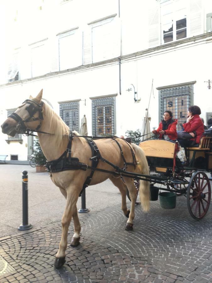 La Chiocciolina Daire Lucca Dış mekan fotoğraf